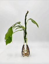 Load image into Gallery viewer, Monstera Leaf Single Tube Propagation Station
