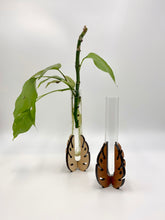 Load image into Gallery viewer, Monstera Leaf Single Tube Propagation Station