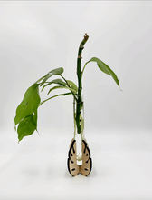 Load image into Gallery viewer, Monstera Leaf Single Tube Propagation Station
